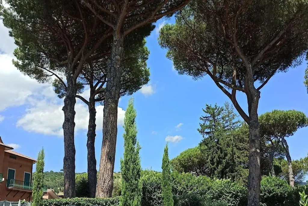 Villa Tusculum - Apartment Grottaferrata